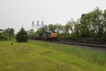 CSX 705 takes a train under the signal bridge at Westfield New York